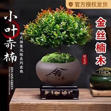 �҃�С�~����辰��z�ľ�Ϙ��������k����������С�Gֲ�ļ����B