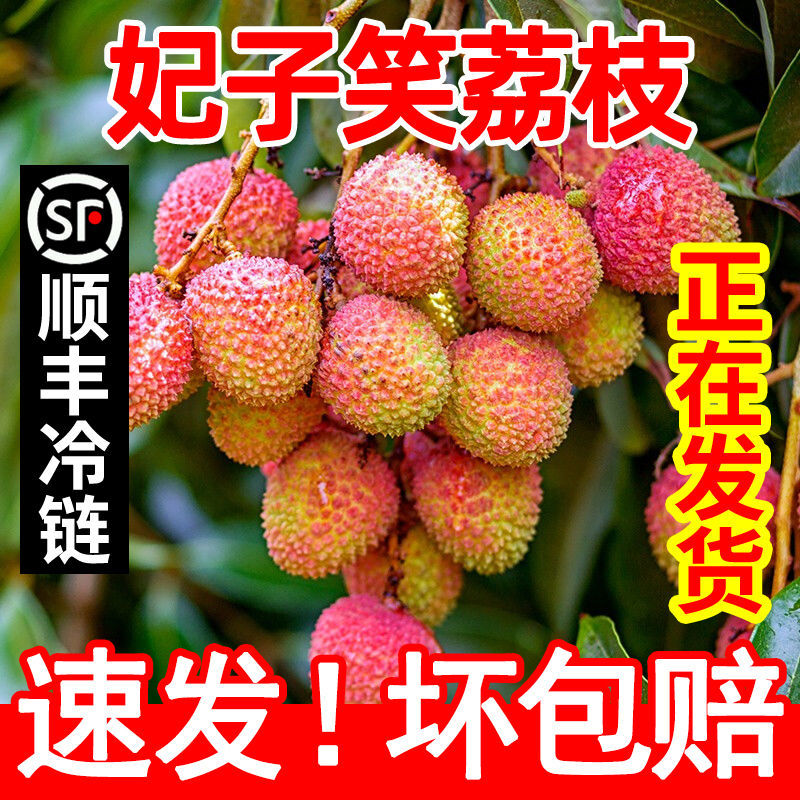 【顺丰冷链】妃子笑荔枝海南广东新鲜当季水果2.8/4.5斤整箱