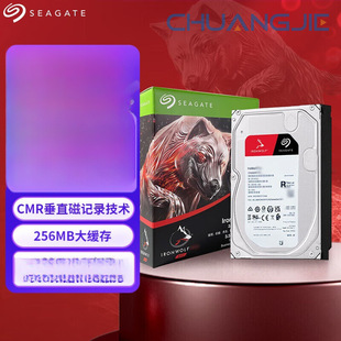 Nas Hard Drive Coolwolf 3.5 Sata Pmr Cmr Vertical Magnetic Recording 12Tb [St12000Vn0008]