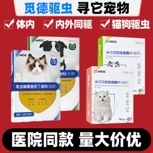 Ғ��؈����xș�w����ͬ����x��Ī���˶��΄��נ�ؐ뿴��ͪƬ