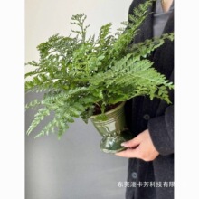 �����G��ķާ�����҃ȿ͏d�ļ�����ާ�ֲ������՚���B��Gֲ