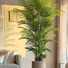 Gֲɢβ҃ȴͷֲ[͏dpb٘