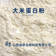 大米蛋白粉 现货水溶性大米蛋白粉 大米蛋白粉量大价优现货包邮