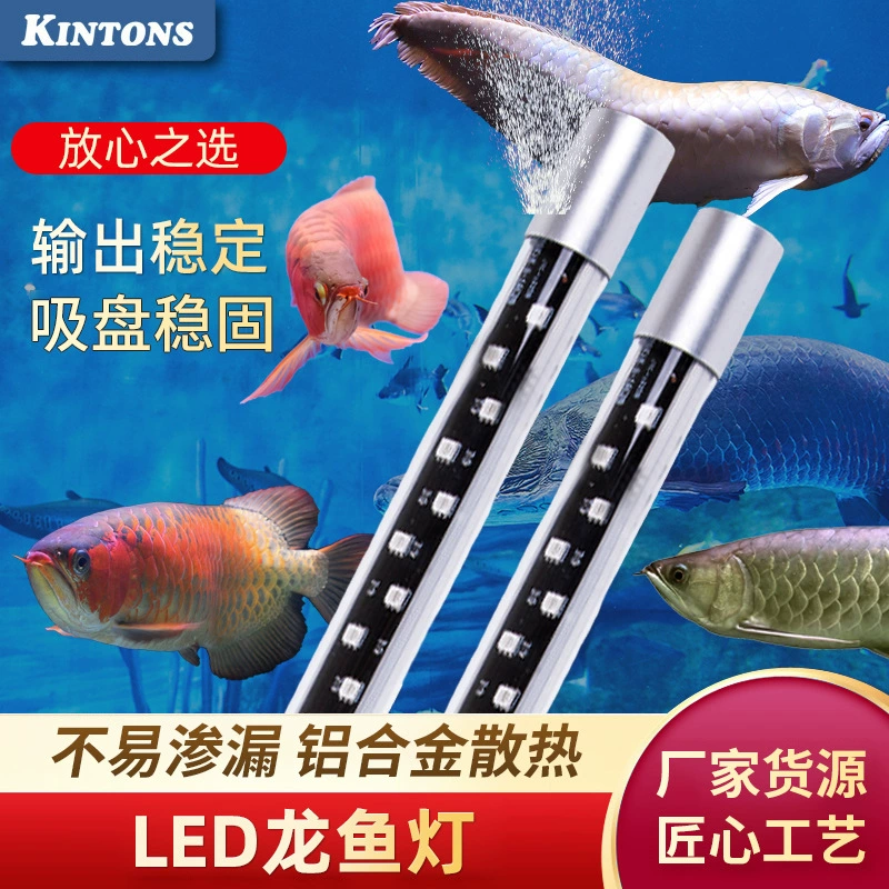Свет для аквариума Светодиодный светильник для дайвинга Освещение водонепроницаемый свет светодиодный аквариум двухрядный Дракон рыба свет попугай энергосберегающая лампа