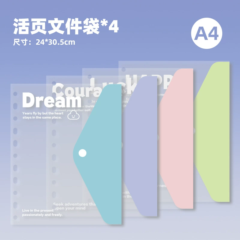 Student A4 Folder Storage System, Multi‑Pocket Binder with Tear‑Off Sheets, Cute Shells