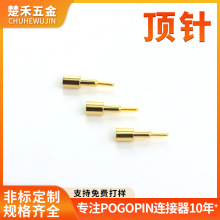 ����������ᘳ����|�c�Ƅ�Ӳ�P���C������̖������|�쾀��