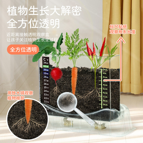 Learn from Yuma plant root observation box to plant seeds and grow scientific experiments handmade toys for children primary and secondary school students