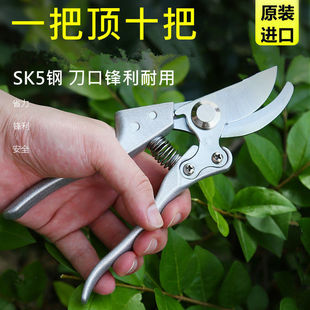 ԭ�bSK5䓲��޻�����֦���h��ʡ��������֦�޼� �@ˇ���������