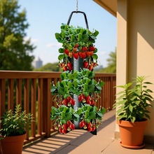 �@ˇ��ݮ�Nֲ��ֲ�����L����������ʽ���w�Nֲ�Gֲ��������