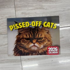 2026年新款跨境爆款亚马逊英文欧美猫狗企鹅日历挂历台历厂家批发