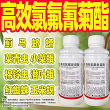 10%��Ч�ȷ���������x������ș���{�����x����ș�����x������Ʒ