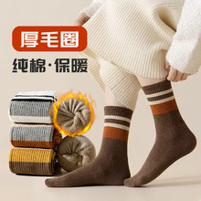 55克袜子秋冬纯棉女中筒袜加厚保暖女士毛圈袜全棉无骨女袜批发