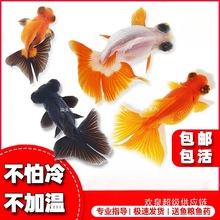 ������~���~�^�p�~С�͵�ˮ���B��ˮ�~�~������С���~�m���\�S��