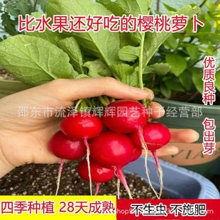 �����}���N������ļ�ˮ���}���̨����ͥԺ�����׷N�߲˷N��