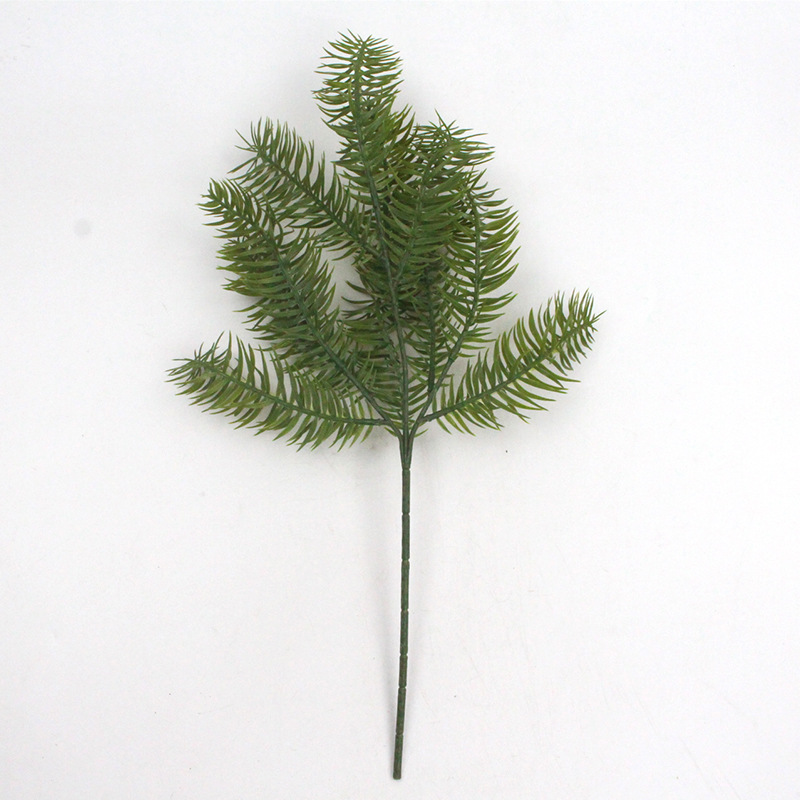 刺杉 XRB-333 (8).jpg