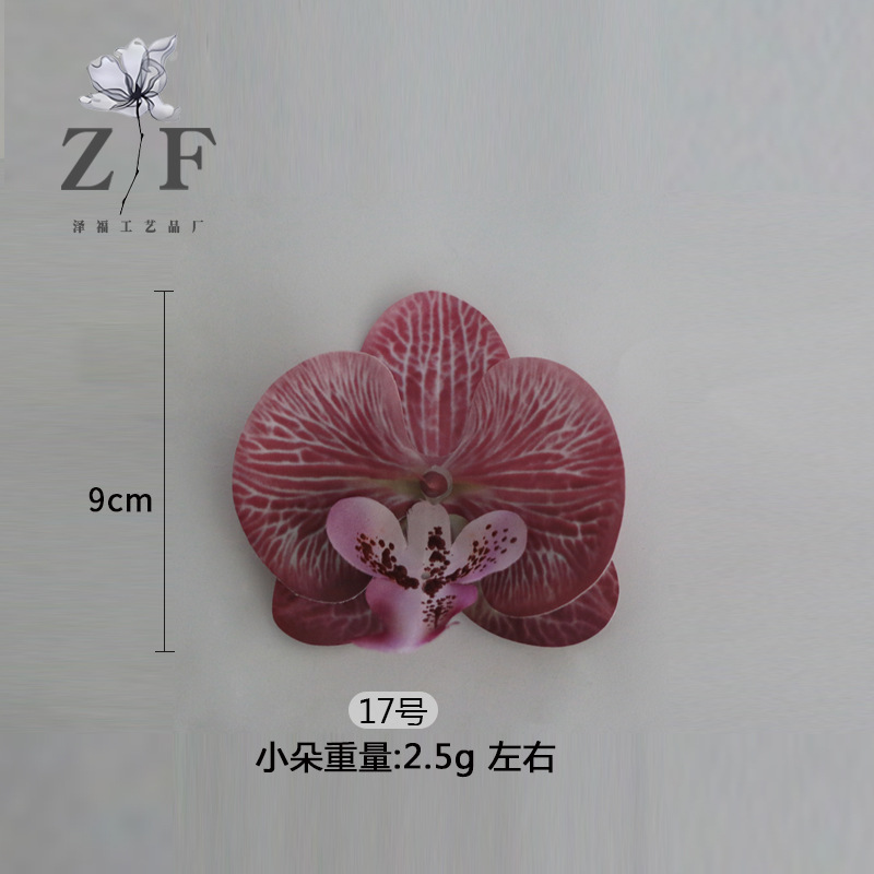 17호(소)