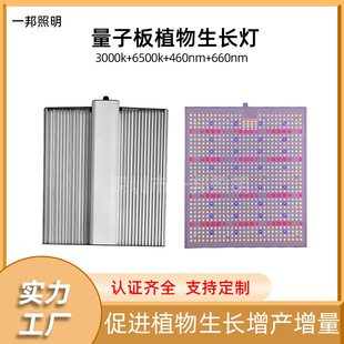 Quantum board plant light 301HEVO100W200W300W full spectrum led dimmable light plant growth light
