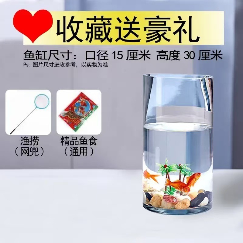 ラウンド水槽円筒形金魚水槽ガラスデスクトップリビングルーム透明小型家庭用カメストレート生態造園水槽|undefined