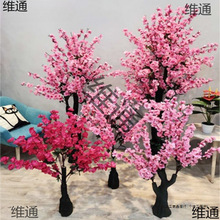 ٘һ҃bֲһ辰ٻԾGֲ