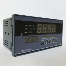 LDSB-3020/S数显仪表上海上润仪表