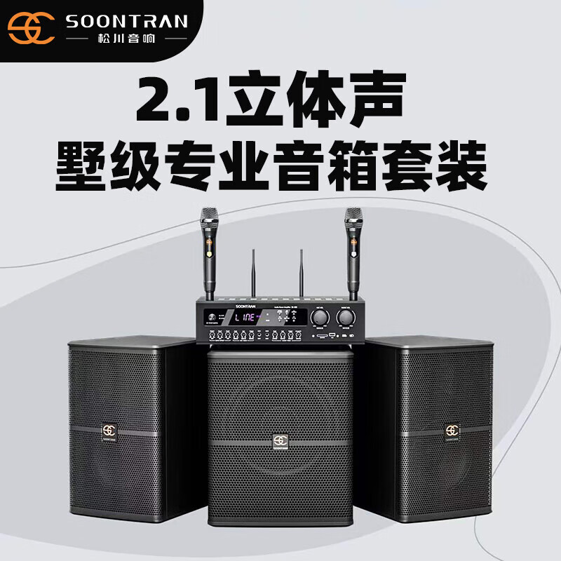 Matsukawa International SP12-1 Card Acoustic Home Theater KTV Karaoke suit Power Amplifier Singer Subwoofer