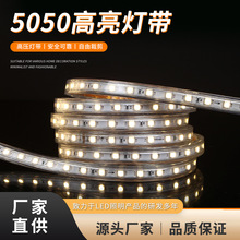 220V110VLED灯带高压 5050灯珠60珠单排高亮户外防水灯条工程亮化