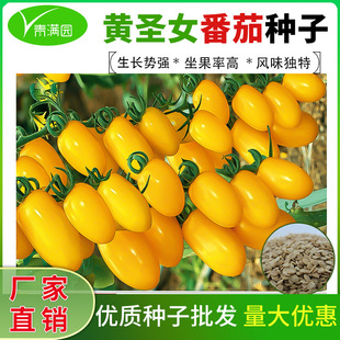 ���l�Sɫ�}Ů���N�ӳ���С���t�����ҷ������ļ��̨�����r�Ҳˈ@