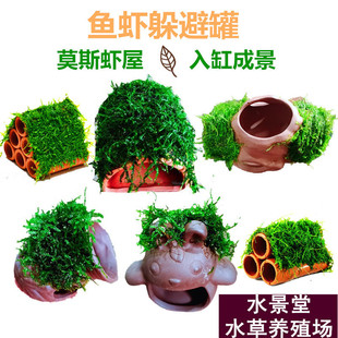 �~���쾰Ī˹�r���~�r������մɹ�С�~�^�p�r��ֳ��ˮ�ݻ��wֲ��