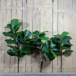 �������~�Ÿ߷�����ֲ֦���b�����������~�Gֲ���^���̸߷���