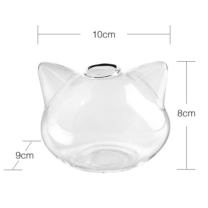 8*10 큰 고양이 수경법