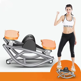 踏步机;健腹器;其他健身器材