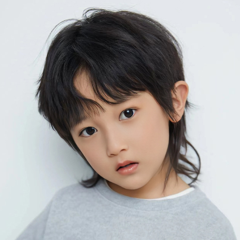 Children's mullet head wig men's short hair boys high temperature silk wolf tail fake hair full head cover factory direct in stock wholesale