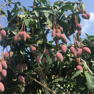 â������޽�â�����ļ���â��͹���̨�r�F���ϱ����Nֲ����Y��