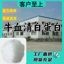 牛血清白蛋白 15年生产经验多用途工厂直供山东江苏浙江