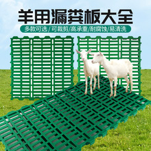 羊用漏糞板塑料 羊床板養羊用的漏糞板 保育床接糞漏縫板養殖設備