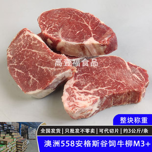 ����558����˹ţ��M3+ ���300��ѩ������ ���͟������Pԭ��ţ��