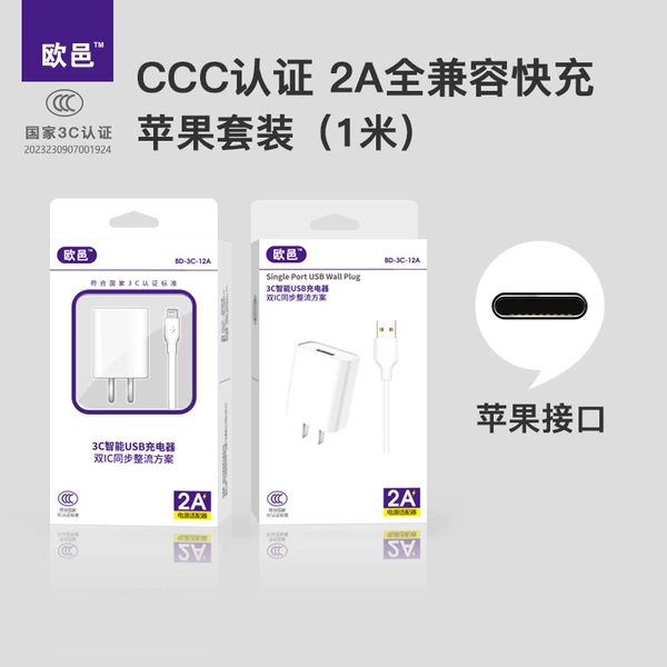 2.1A apple mouth set
