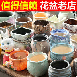 多肉花盆陶瓷德化批发盆栽创意盆粗陶拇指多肉植物小花盆TEMU贴标