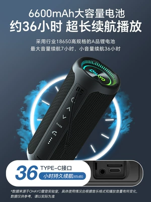X10Max Bluetooth Speaker 35W: Car speaker/subwoofer