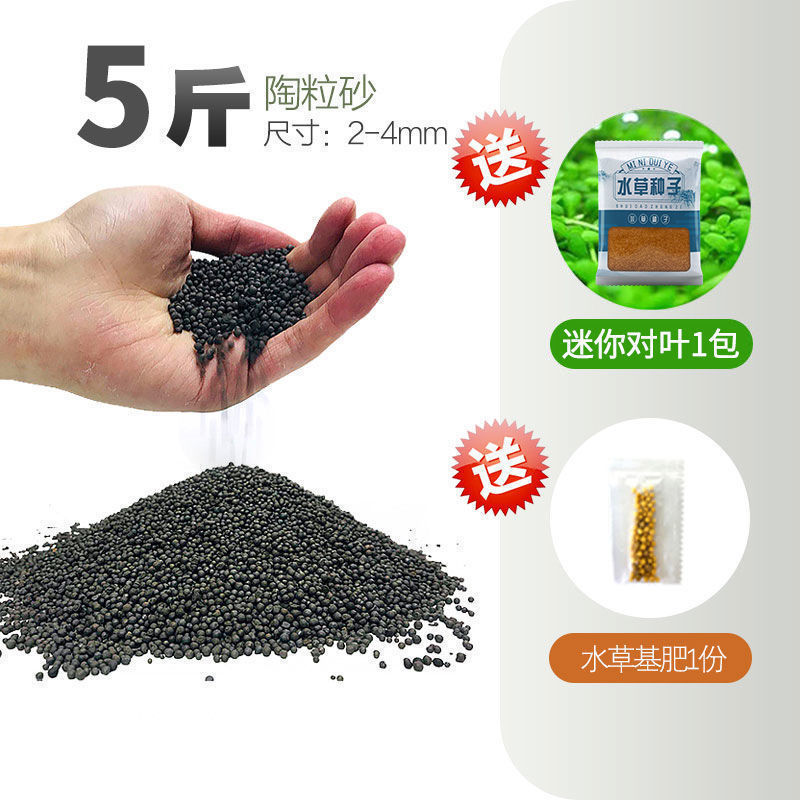 嘘援娉ユ壒鍙戙€愪笉舞枃丸瀀耣ャ€戦櫠绮掔戞枸shoulder a few搴琴爞更曟曟曘昘棌绠 argue