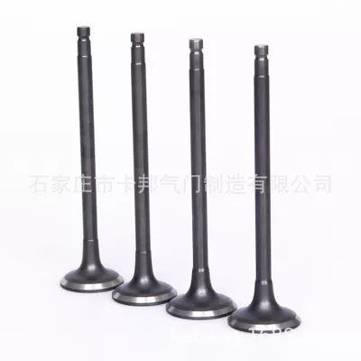 Valve components for Renault 1.6