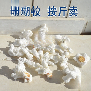 ��Ȼɺ��ʯ����ؐ��diy��ɺ����֦�~�׵ײ��b�䁵׵�̨�b