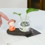客厅家居水培透明花盆