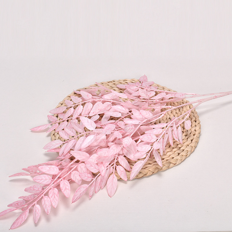 Hojas de langosta rosa