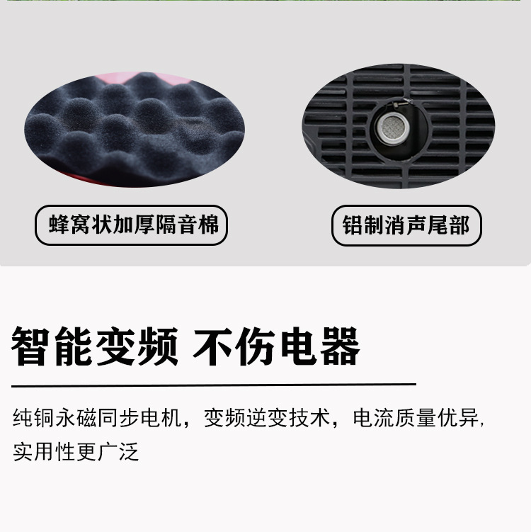 Longyu Mini Small Gasoline Generator 220V Low Noise Variable Frequency Outdoor RV Camping Portable All-Copper Motor