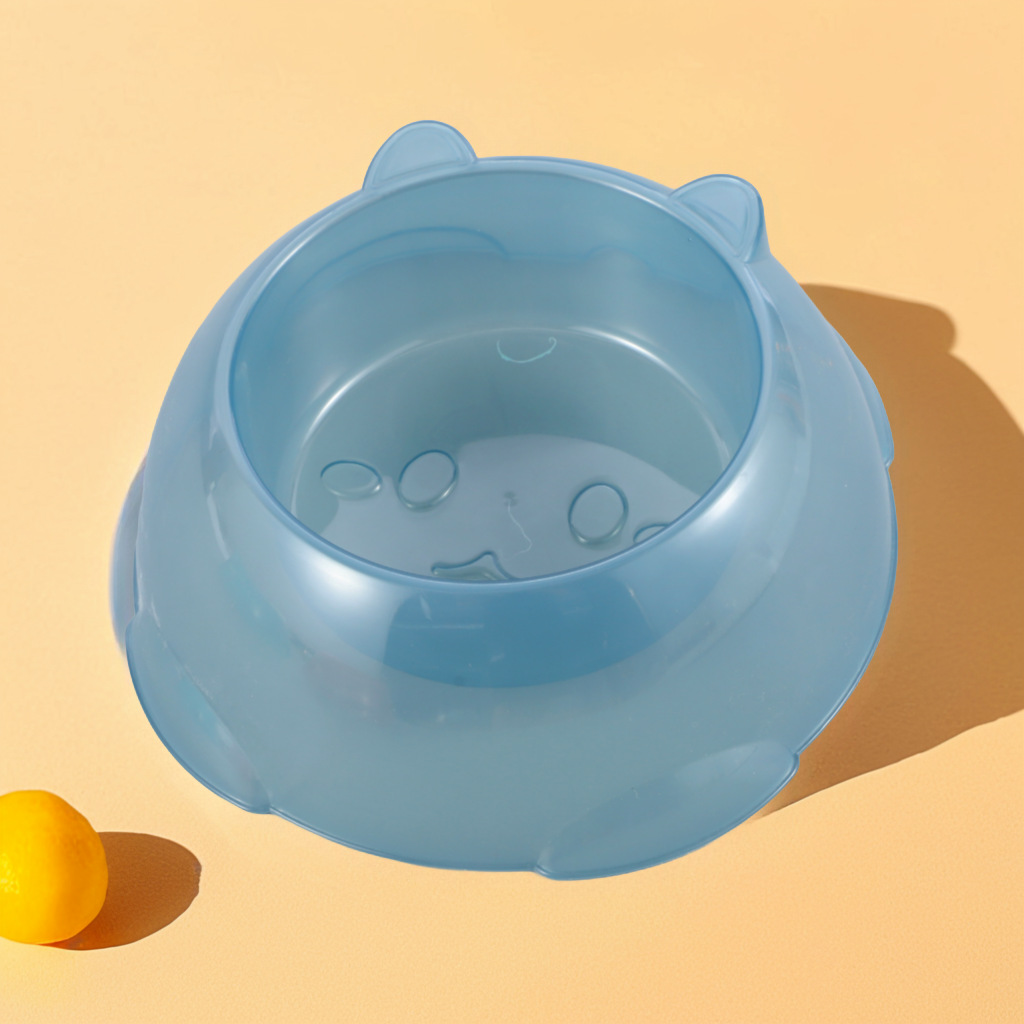 바다색 투명