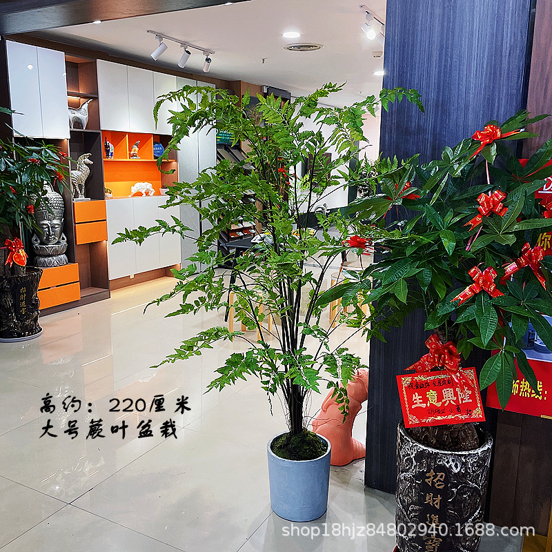 104618cadc3914c30038ace628fffa