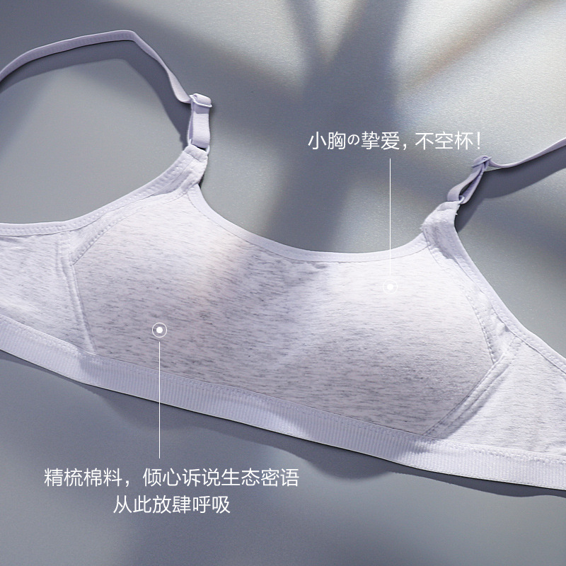 Cross-border Factory Underwear Women's No Steel Rings Small Chest Gathering Thin Strapless Bra Bra for Students and High School Girls