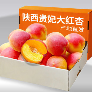�����֬�t��4�����Ӵ���������rˮ��������S��������������]