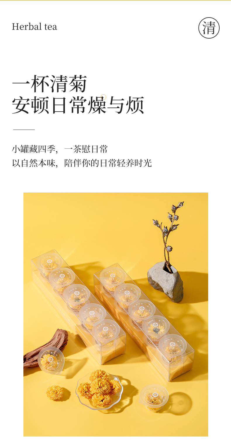 Huizhou Imperial Chrysanthemum Tea Large Whole Blooms Ju Hua 10g Mini Can Hot Brew Herbal Flower Tea in use